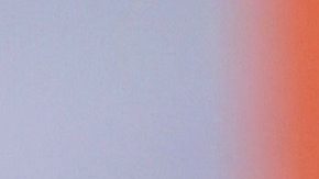 Se conoce quien retiró el cuerpo de El Puma Jr.