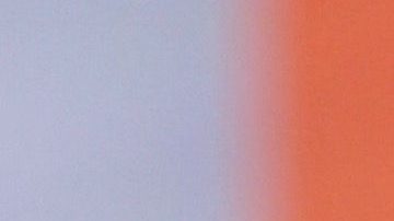 Se conoce quien retiró el cuerpo de El Puma Jr.