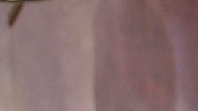 Rashel Díaz comparte como cambió su rutina y alimentación