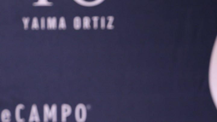 Adamari López, presentadora puertorriqueña de televisión.