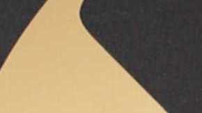 Adamari López, presentadora puertorriqueña de televisión.