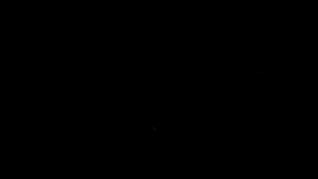 Luis Fonsi y Adamari López en el 2009.