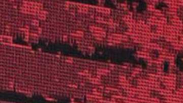 Chiquis Rivera, cantante.