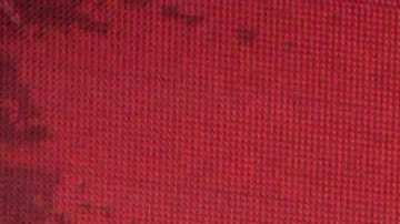 Chiquis Rivera, cantante.