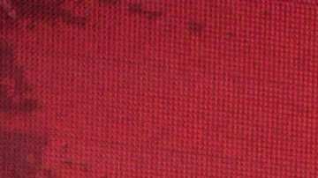 Chiquis Rivera, cantante.