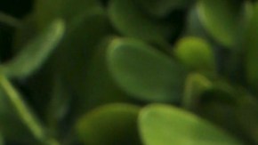 Clarissa Molina, presentadora dominicana de televisión.