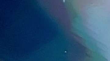 Galilea Montijo, presentadora de televisión.