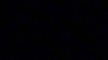 Luis Miguel asistió a la boda de Michelle Salas pero no la entregó en el altar