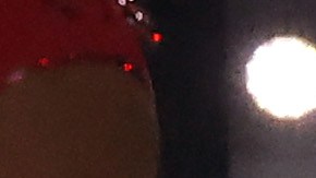 Shakira le respondió a Bad Bunny