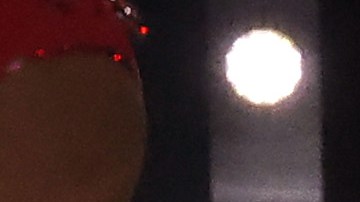 Shakira le respondió a Bad Bunny