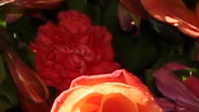 Alan Tacher se disfrazó de Christian Nodal