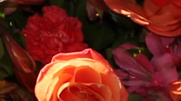 Alan Tacher se disfrazó de Christian Nodal