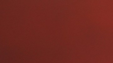 Belinda organiza colecta para las víctimas de Otis