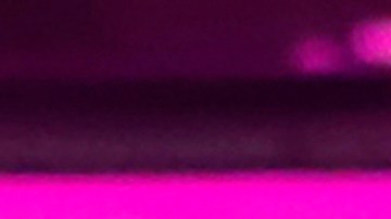 Luis Miguel feliz en la boda de su hija