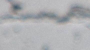 Shakira es acusada de empujar a una fan