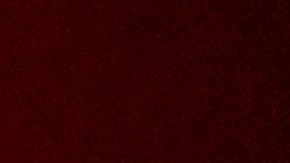 Jimmy Butler aclaró si tiene una relación con Shakira