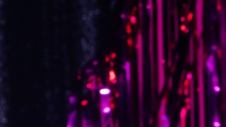 Premios Billboard latinos 2023: estas son las nominadas a Disco del Año