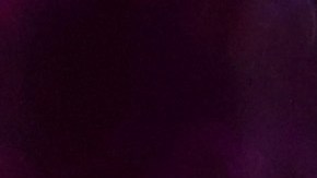 Shakira tuvo que viajar a Barranquilla