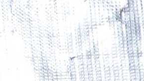 Laura Zapata, actriz mexicana.