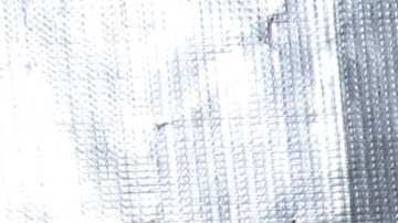 Laura Zapata, actriz mexicana.