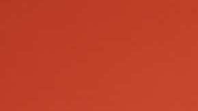 María Celeste Arrarás, presentadora de televisión.