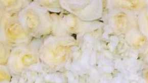 Michelle Salas, modelo mexicana.