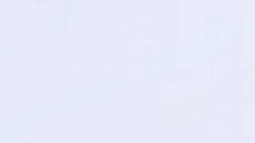 Ninel Conde, actriz mexicana.