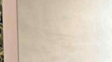 Daniela Tapia quedó atrapada en el conflicto en Israel