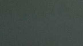 Yailin La Más Viral, cantante dominicana.