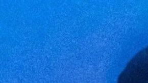 Yailin La Más Viral agradece por la liberación de Tekashi