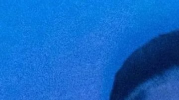 Yailin La Más Viral agradece por la liberación de Tekashi