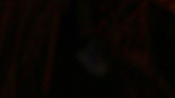 Myrka Dellanos se pone de lado de Luis Miguel