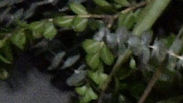 Rafael Amaya en la presentación de la octava temporada de "El Señor De Los Cielos" (Telemundo), que estrena el próximo 17 de enero en Estados Unidos/México, 12 de enero 2023.