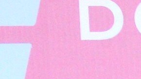 Vicente Fernández Jr y Mariana González se casaron en una lujosa ceremonia en Jalisco