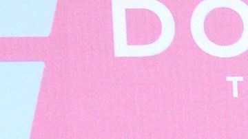 Vicente Fernández Jr y Mariana González se casaron en una lujosa ceremonia en Jalisco