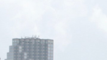 Raúl de Molina y Lili Estefan causan indignación en España