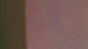 Shakira se enfrentará a la justicia española el 20 de noviembre