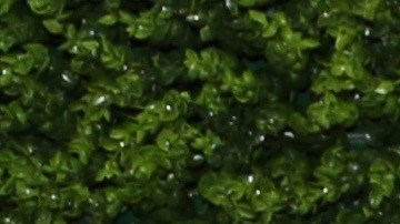 Elizabeth Gutiérrez y William Levy se reconciliaron