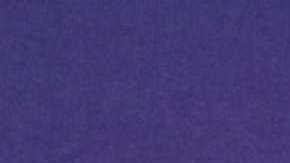 Adamari López, presentadora de televisión.