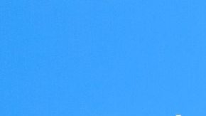 Alicia Machado y Christian Estrada.