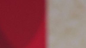 Alix Aspe, presentadora de televisión.