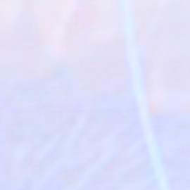 Ana Patricia Gámez, presentadora de televisión.