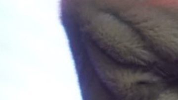 Belinda interpreta algunos de sus éxitos en un concierto celebrado en la Arena Ciudad de México y organizado por Radio Disney/México, 1 de julio 2023.