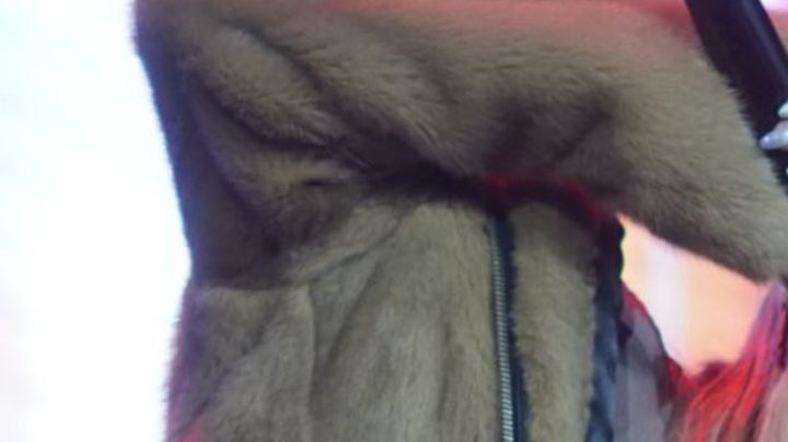 Belinda interpreta algunos de sus éxitos en un concierto celebrado en la Arena Ciudad de México y organizado por Radio Disney/México, 1 de julio 2023.