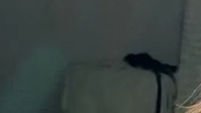 Yailin La Más Viral estrenó su nueva línea de ropa