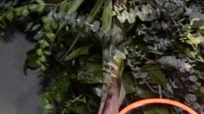 El Señor de los Cielos