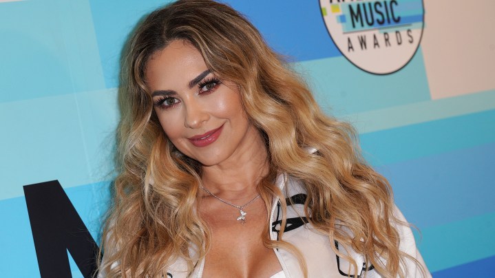 Aracely Arámbula aclara todo sobre Luis Miguel