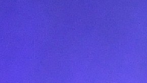 Bad Bunny fue nombrado como "El Rey del Pop".