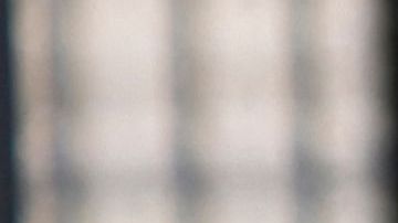 Eiza González y Mario Casas se besaron en Madrid