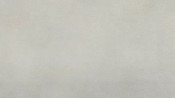 Clara Chía Martí no siente agrado por Shakira y le puso unos apodos despectivos